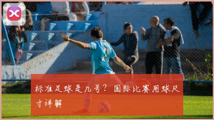 标准足球是几号？国际比赛用球尺寸详解